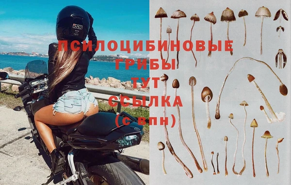 наркотики Лиски