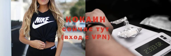 гидра Липки