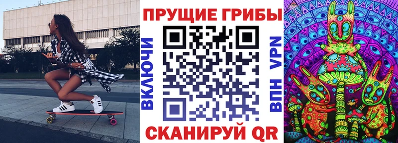 Галлюциногенные грибы мухоморы  ОМГ ОМГ рабочий сайт  Новодвинск  купить наркотик 