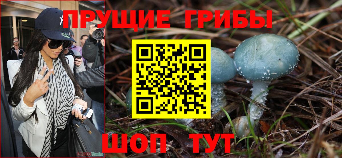 Галлюциногенные грибы ЛСД Новодвинск
