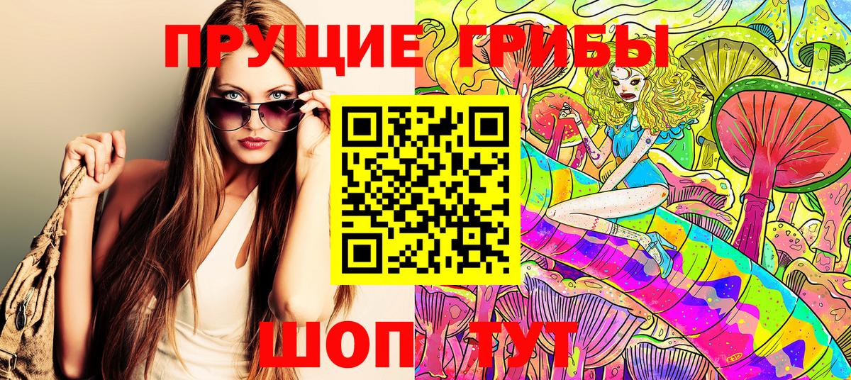 Новодвинск  Галлюциногенные грибы Psilocybe  как найти закладки  Вход с VPN  Галлюциногенные грибы GOLDEN TEACHER 
