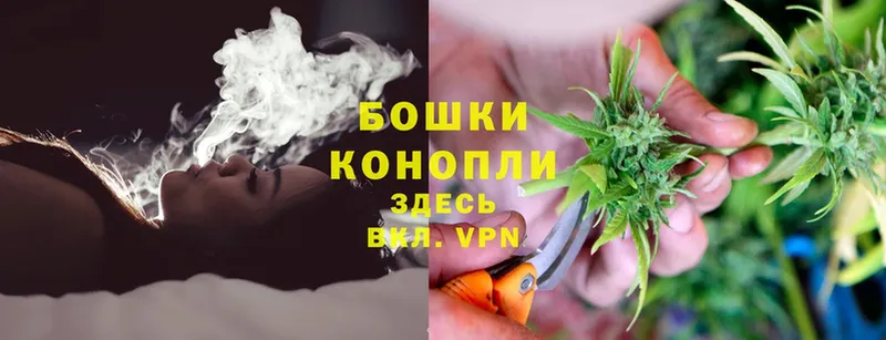 shop какой сайт  Новодвинск  Бошки марихуана OG Kush  закладки 